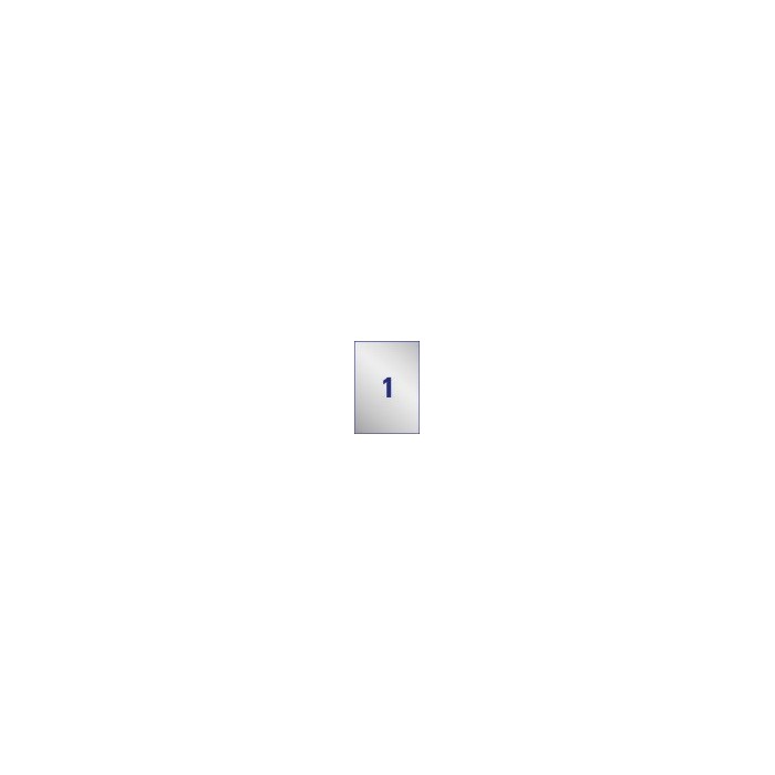 Etykiety znamionowe srebrne Avery Zweckform, A4, 8 ark./op., 210 x 297 mm, poliestrowe