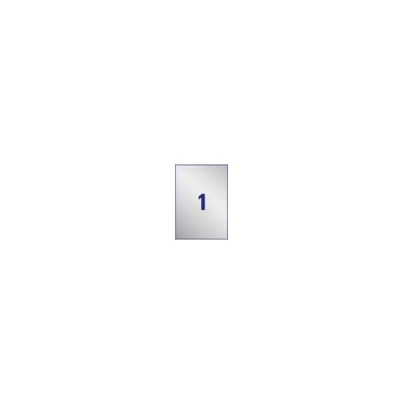 Etykiety znamionowe srebrne Avery Zweckform, A4, 8 ark./op., 210 x 297 mm, poliestrowe